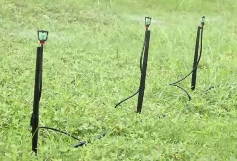 Lawn Sprinkler Irrigation on Spike