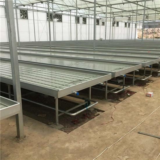 rolling benches greenhouse