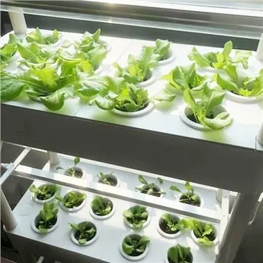 4-pakopos hidroponinis sodo rinkinys su LED lemputėmis